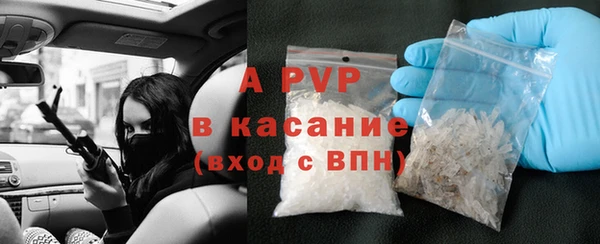 ПСИЛОЦИБИНОВЫЕ ГРИБЫ Елабуга