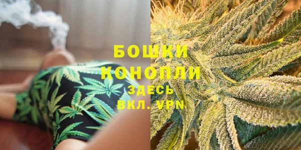 ПСИЛОЦИБИНОВЫЕ ГРИБЫ Елабуга
