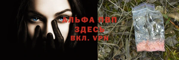 ПСИЛОЦИБИНОВЫЕ ГРИБЫ Елабуга