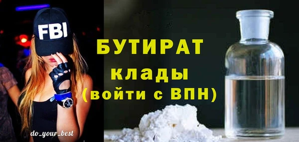 крисы Ельня