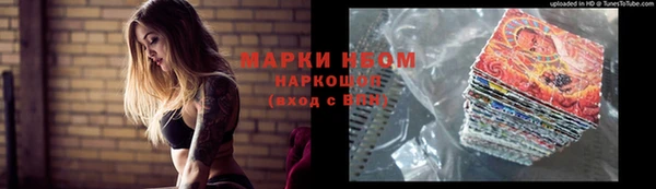 крисы Ельня