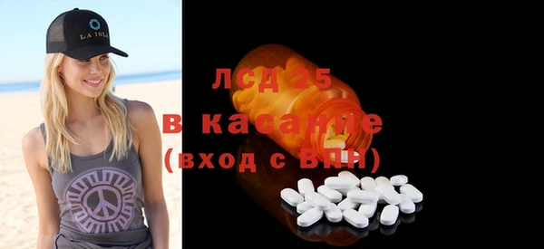 крисы Ельня
