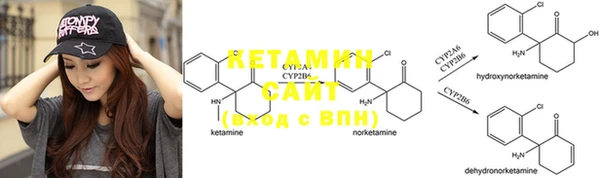 ПСИЛОЦИБИНОВЫЕ ГРИБЫ Елабуга
