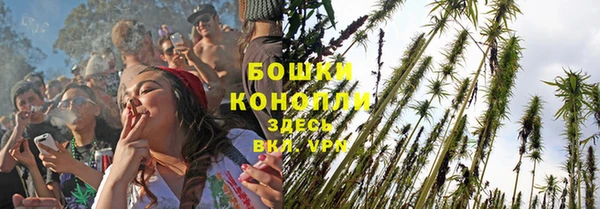 крисы Ельня