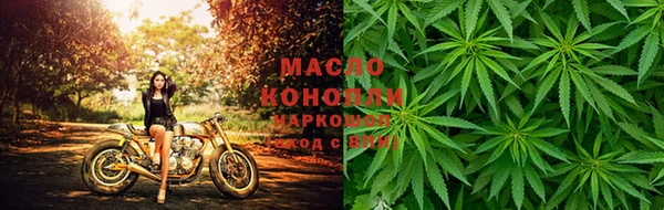 крисы Ельня