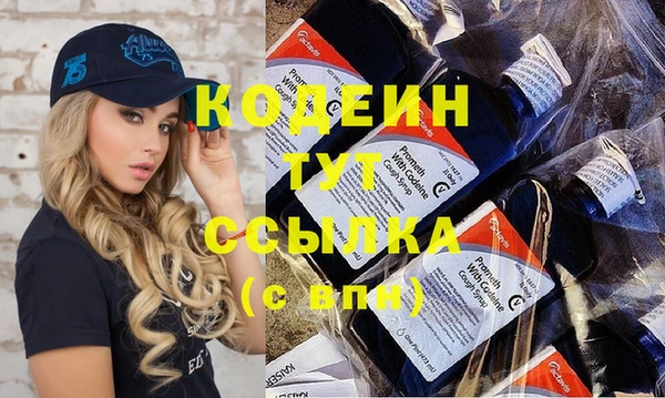 крисы Ельня