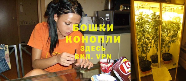 ПСИЛОЦИБИНОВЫЕ ГРИБЫ Елабуга