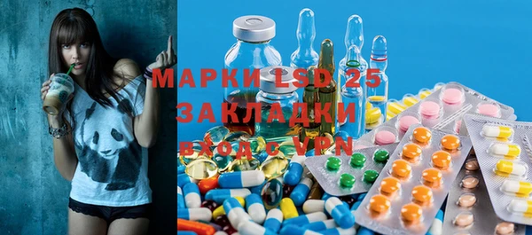 крисы Ельня