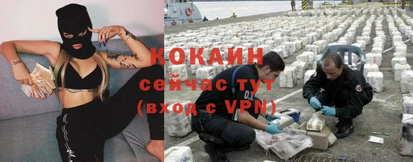 ПСИЛОЦИБИНОВЫЕ ГРИБЫ Елабуга