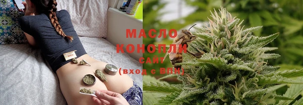 крисы Ельня