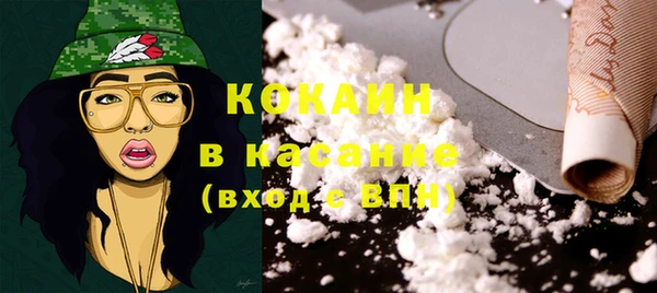 крисы Ельня