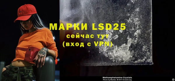 ПСИЛОЦИБИНОВЫЕ ГРИБЫ Елабуга
