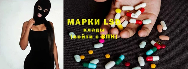 крисы Ельня
