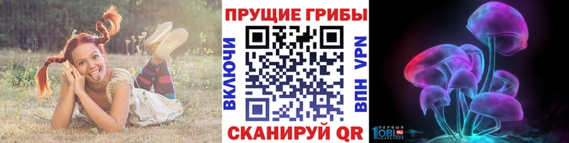 Псилоцибиновые грибы MAGIC MUSHROOMS Сурск